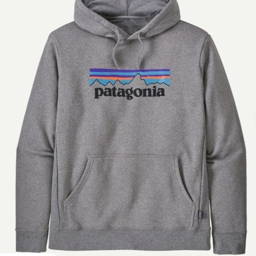 Patagonia Men's Grey Logo Hoodie